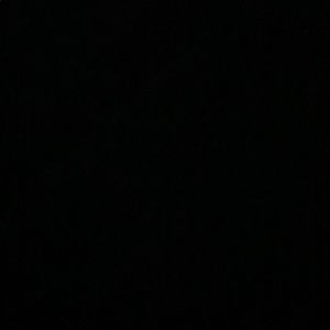 Meet your Posher, Raul